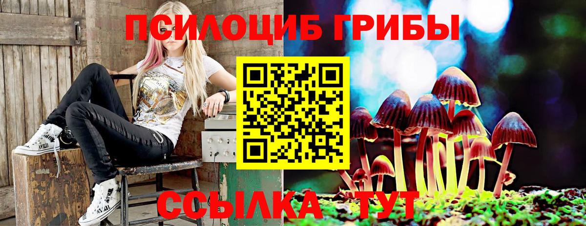 Галлюциногенные грибы Psilocybine cubensis Стрежевой